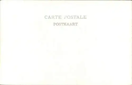 CPA S.A.R. le Comte de Flandre, Portrait