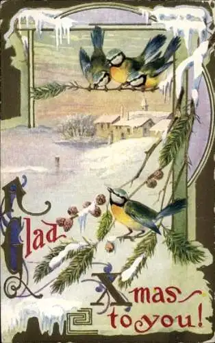 Präge Ak Frohe Weihnachten, Meisen, Vögel auf Tannenzweig