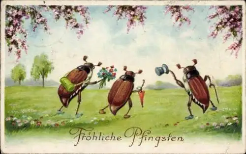 Ak Fröhliche Pfingsten, drei Maikäfer