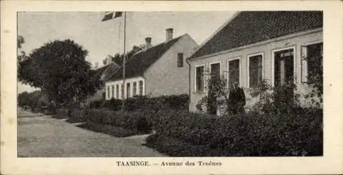Ak Tåsinge Taasinge Dänemark, Avenue des Troènes, Gebäude, Fahne, Herr