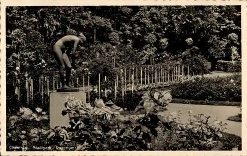 Ak Chemnitz in Sachsen, Skulptur, Garten, Rosen, Stadtpark, Rosarium