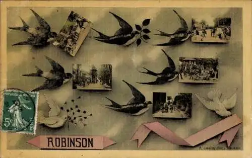 CPA Robinson Hauts de Seine, vue du rue, hirondelles, colombe