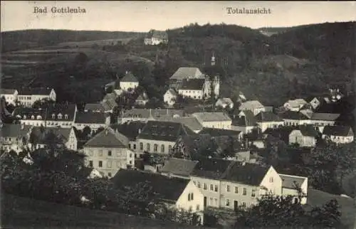 Ak Bad Gottleuba in Sachsen, Gesamtansicht