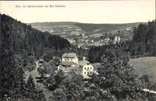 Ak Hartmannsbach Bad Gottleuba in Sachsen, Blick von Bartmannsbach, Landschaft, Gebäude, Wald