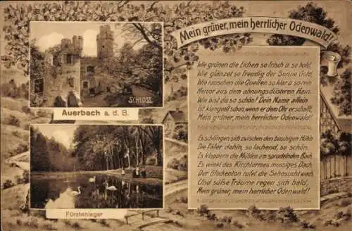 Ak Auerbach Elztal im Odenwald, Schloss, Fürstenlager
