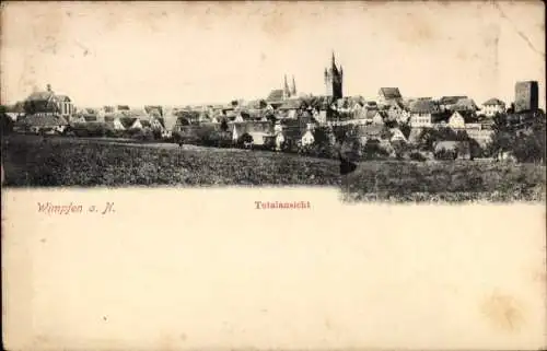 Ak Bad Wimpfen am Neckar, Gesamtansicht der Stadt Wimpfen, Häuser und Türme sichtbar