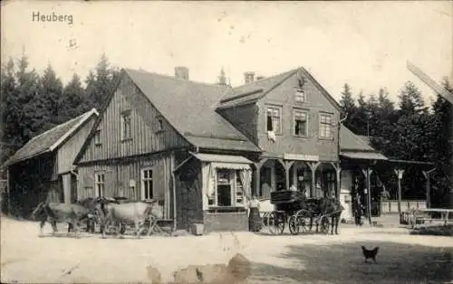 Ak Heuberg Friedrichroda Thüringen, Blick zum Gasthof Heubergshaus, Kühe