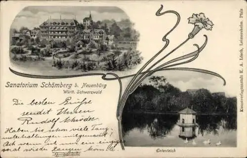 Ak Schömberg (Kreis Calw) im Schwarzwald Württemberg, Sanatorium, Ententeich