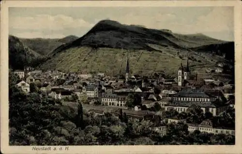 Ak Neustadt an der Haardt, Gesamtansicht
