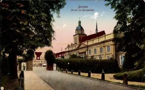 Ak Dessau in Sachsen Anhalt, Partie im Lustgarten