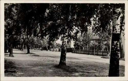 Ak Seilershof Gransee in der Mark, Dorfstraße