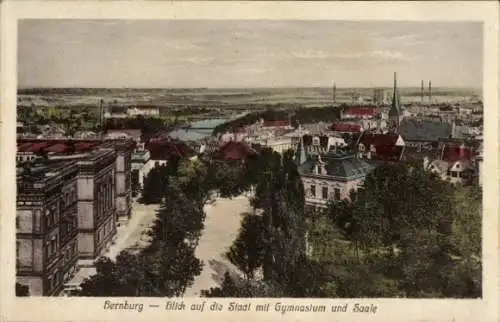 Ak Bernburg an der Saale, Blick auf die Stadt, Gymnasium und Saale, farbige Ansicht