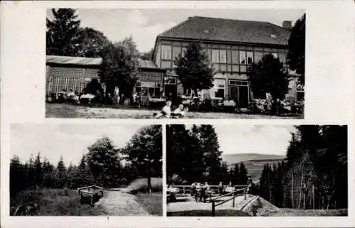 Ak Rigi bei Petersdorf Nordhausen am Harz, Gasthof