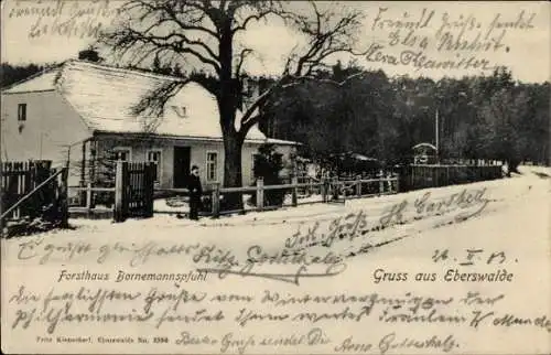 Ak Eberswalde, Forsthaus Bornemannspfuhl, Forsthaus Bornemannspfuhl, Gruss aus  winterliche Szene