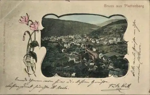 Ak Plettenberg im Sauerland Westfalen, Ansicht der Stadt  Berglandschaft, Blumenmotiv, Grußtext