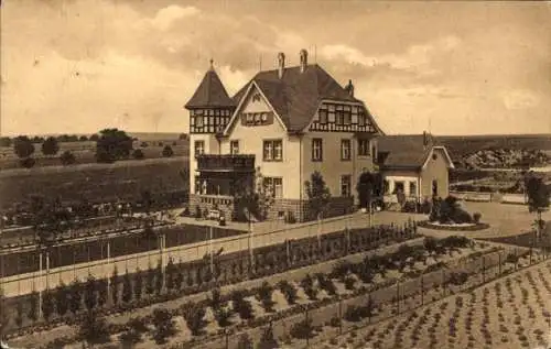 Ak Worms am Rhein, Villa