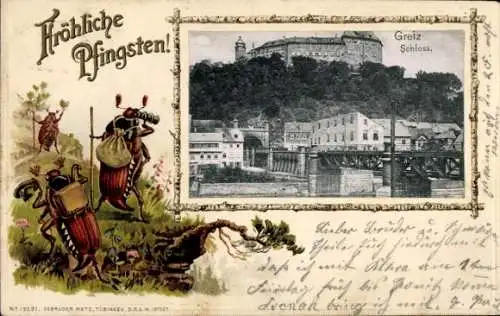Präge Passepartout Ak Greiz im Vogtland Thüringen, Schloss, Frohe Pfingsten, wandernde Maikäfer