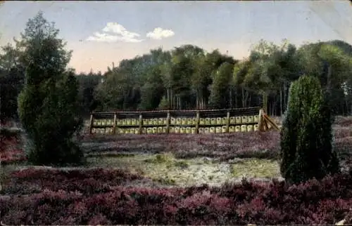 Ak Bienenzaun in der Lüneburger Heide