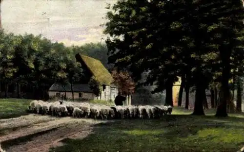 Ak Ausziehende Schafherde mit Hirte