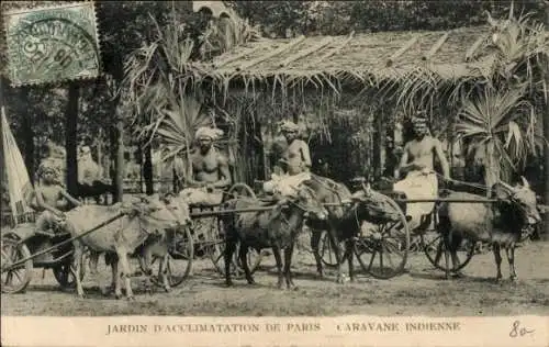 Ak Paris, Jardin d'Acclimatation, Indische Karawane, Ochsenfuhrwerke
