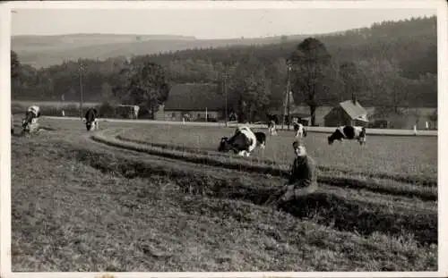 Foto Ak Kühe auf einer Weide, Bauer sitzt am Rand eines Grabens, ca. 1938