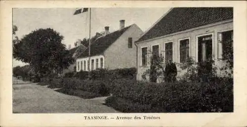 Ak Tåsinge Taasinge Dänemark, Avenue des Troênes, Gebäude, Bäume, Flagge, Mensch steht