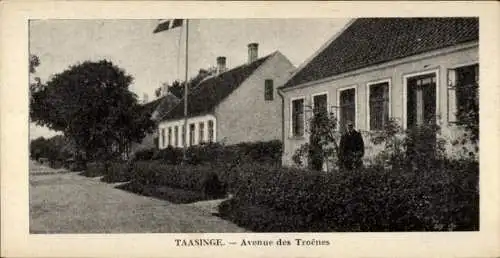 Ak Tåsinge Taasinge Dänemark, Avenue des Troênes, Gebäude, Bäume, Flagge, Mann
