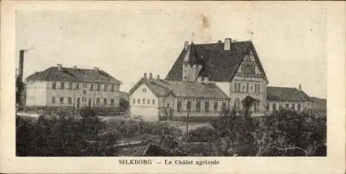 Ak Silkeborg Dänemark,  Le Châlet agricole,  Gebäude