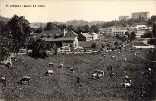 Ak Saint Cergue Kanton Waadt, Foire