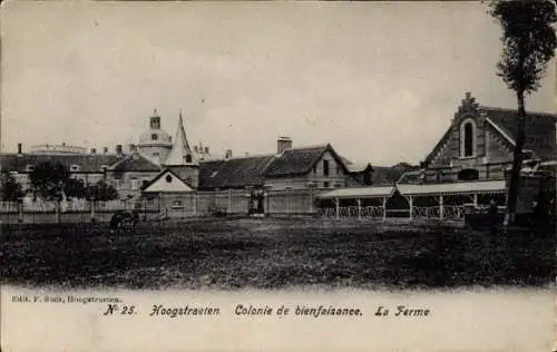 Ak Hoogstraten Hoogstraeten Flandern Antwerpen,  Colonie de bienfaisance, La Ferme, Gebäude, Pfer