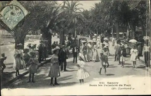 Ak Sanary sur Mer Var, Palmen, Straße, Menschen, Spaziergänger