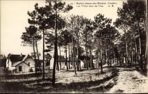 Ak Saint Jean de Monts Vendée, Villas dans les Pins