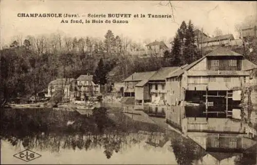 Ak Champagnole Jura, Scierie BOUVET, la Tannerie, Bois de Gazon, Jura