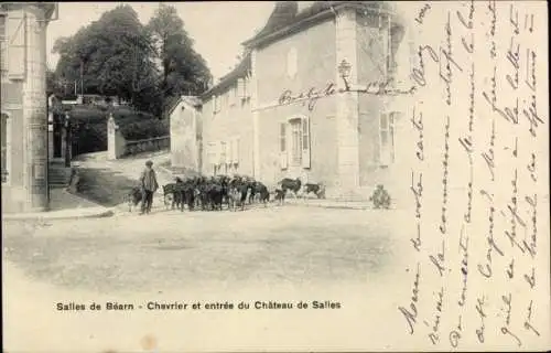 Ak Salies de Béarn Pyrénées Atlantiques, Chevrier, Einfahrt zum Château de Salies, Ziegenherde,  