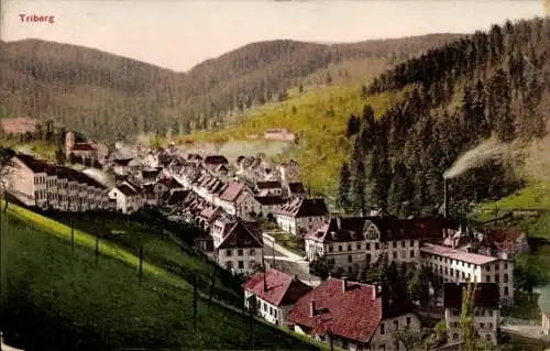 Ak Triberg im Schwarzwald, Panorama von  Schwarzwald, Häuser mit roten Dächern, Wasserfall