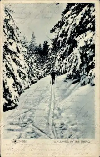 Ak Willingen im Upland Hochsauerland Waldeck Hessen, Waldweg im Treisberg, Winter