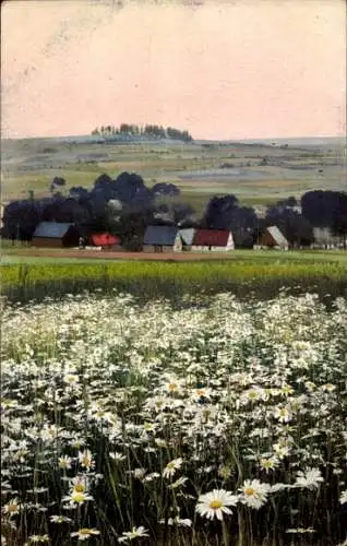 Ak Mildenau im Erzgebirge, Blühende Wiese, Bauernhäuser, hügelige Landschaft, Himmel