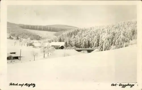 Ak Müglitz Lauenstein im Müglitztal Altenberg, Schneelandschaft, Wald, Gebäude, Brücke, ländliche
