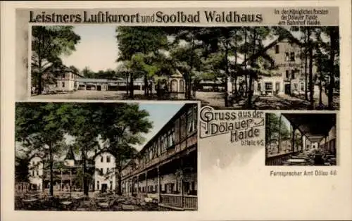 Ak Dölauer Heide Halle an der Saale, Leistners Luftkurort, Soolbad Waldhaus, Königliche Forsten, 
