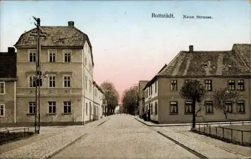 Ak Buttstädt in Thüringen, Vorderansicht von  Neue Strasse, Häuser, Straße