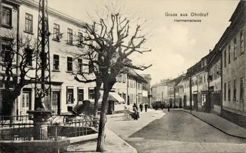 Ak Ohrdruf in Thüringen, Gruss aus  Herrmannstrasse, Stadtansicht, Bäume, Brunnen