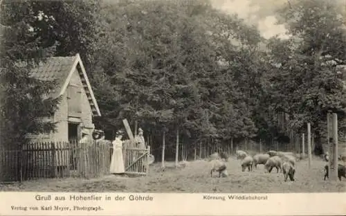 Ak Hohenfier Himbergen in der Lüneburger Heide, Körnung Wilddiebshorst