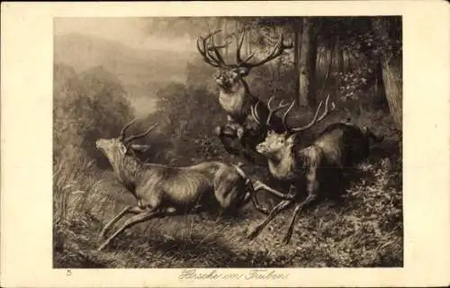 Künstler Ak Hirsche im Treiben, Waldpartie