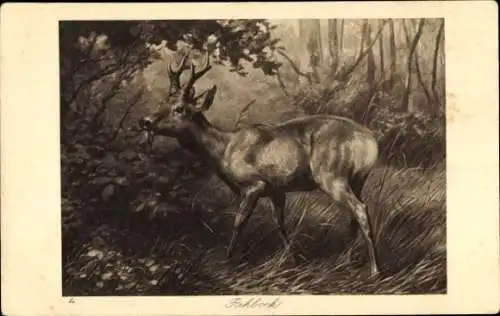 Künstler Ak Rehbock, Waldpartie