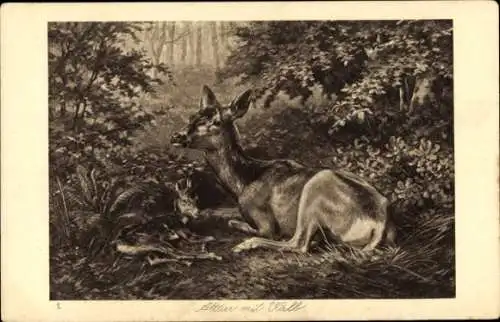 Künstler Ak Rehe, Alttier mit Kalb, Waldpartie