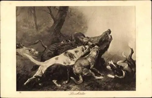 Künstler Ak Wildschweinjagd, Hunde