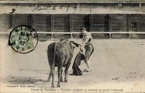 Ak Stierkampf, Torero mit einem Stier
