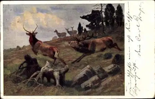 Künstler Ak Hirsche, Rehe, Waldtiere