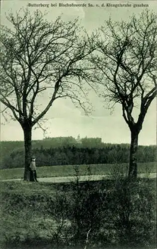 Ak Butterberg Bischofswerda in Sachsen, Schwarzwaldlandschaft, zwei Bäume, Person steht,  .