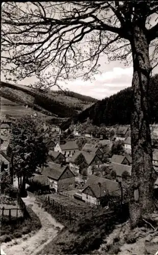 Ak Willingen Waldeck, Blick über die Wohnsiedlung, Panorama